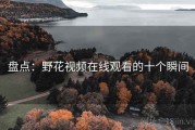 盘点：野花视频在线观看的十个瞬间
