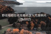 野花视频在线观看的五大荒唐瞬间 · 热点825