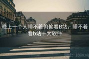 晚上一个人睡不着偷偷看B站，睡不着看b站十大软件