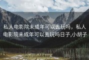 私人电影院未成年可以去玩吗，私人电影院未成年可以去玩吗日子,小胡子