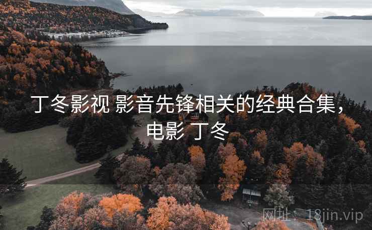 丁冬影视 影音先锋相关的经典合集，电影 丁冬